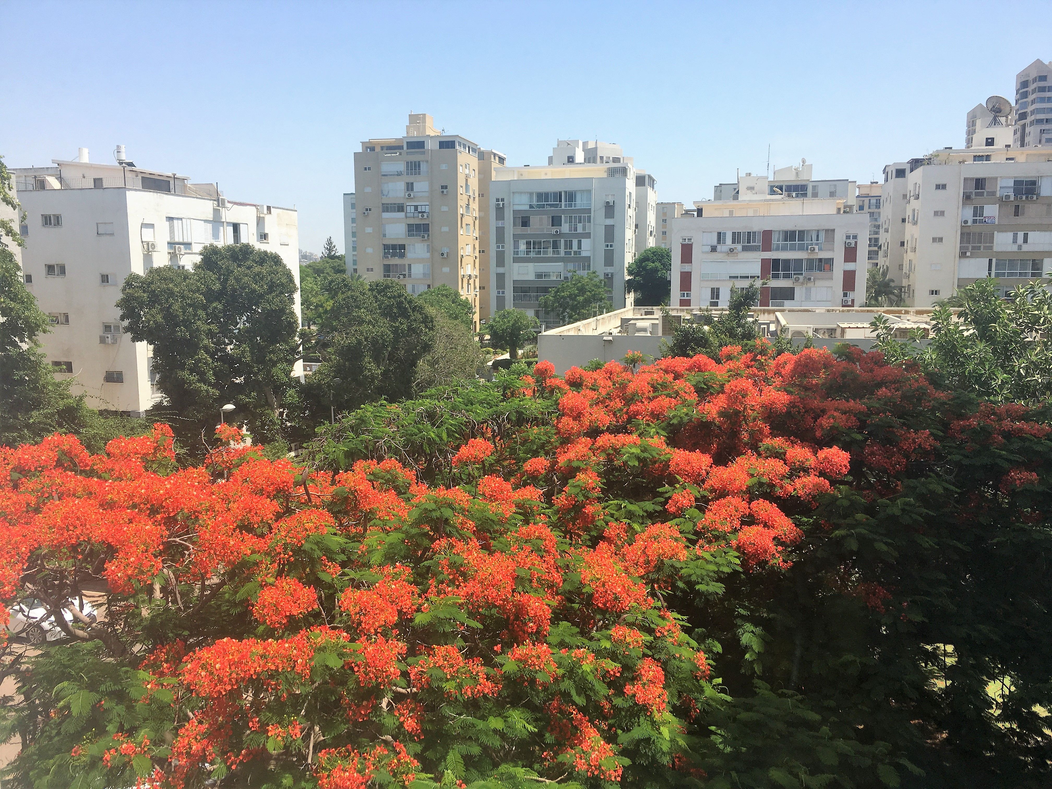 מהסמארטפון שלי